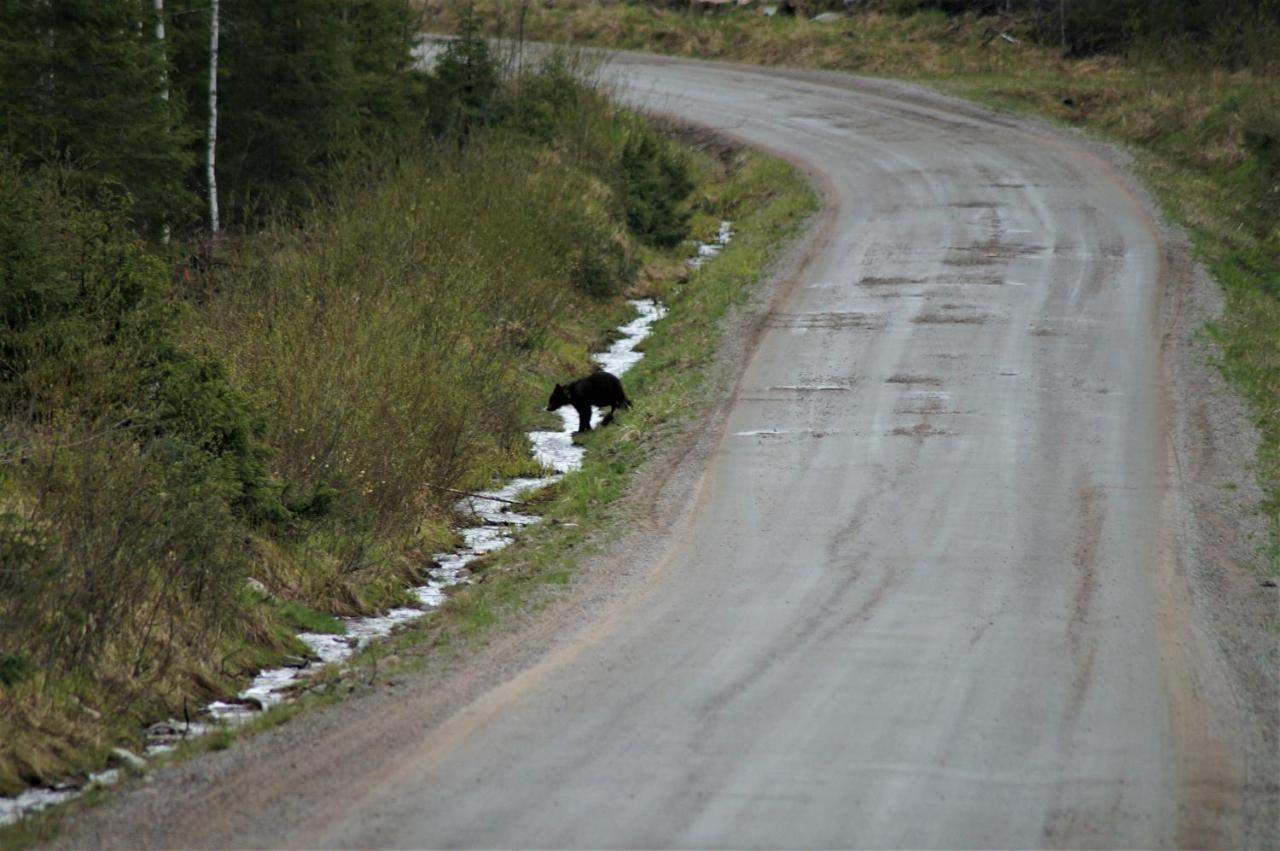 Bear Manor B&B Kannonkoski Exteriör bild